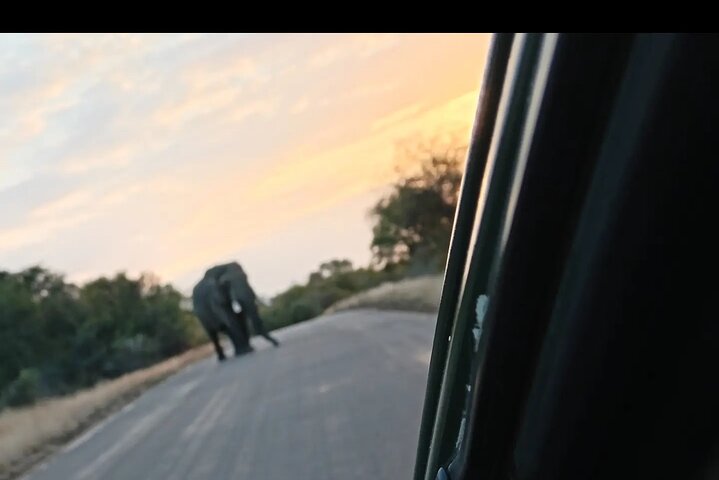 Kruger National Park Morning Safari Experience (Minimum 2 Peope)