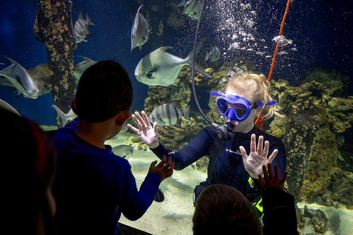 A Day Full of Fun at Virginia Living Museum