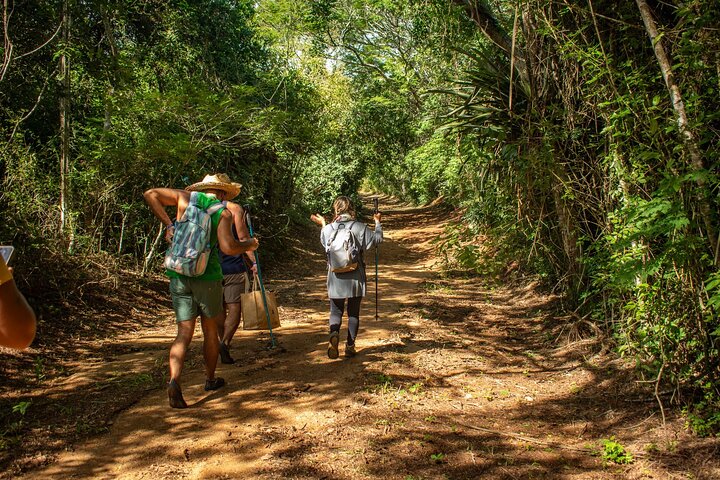 Secret Trail - Natural Pools of Búzios and Guardian Stone