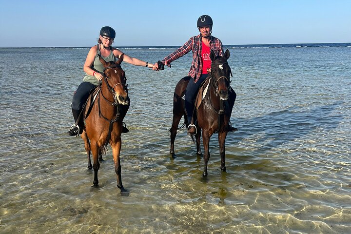 Horseback Riding Adventure in Marsa Alam