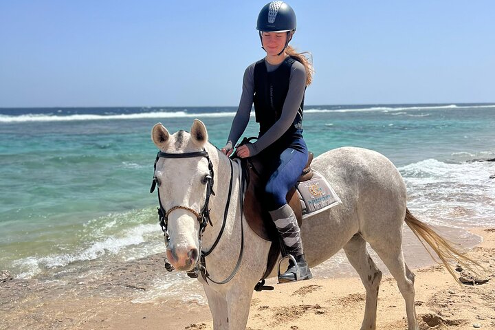 Horseback Riding Adventure in Marsa Alam