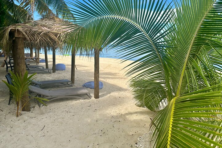 Captain Cook Cruises Fiji- All-inclusive Island & Reef Day Sail