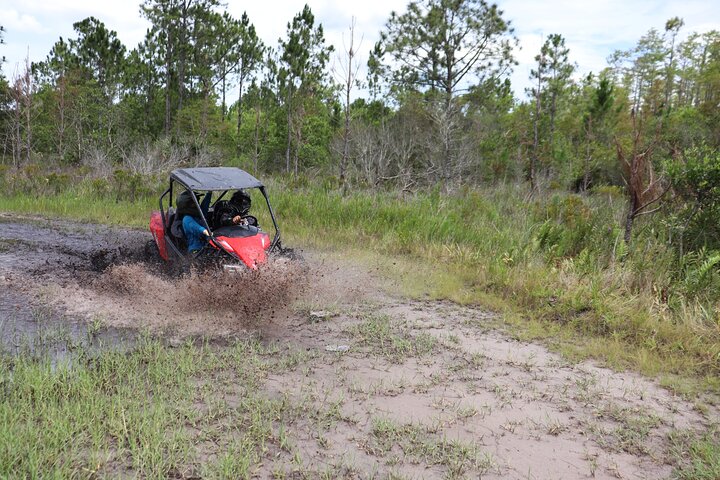 Orlando Dune Buggy Tour