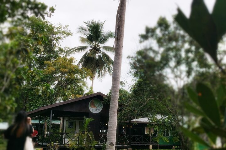 Borneo (Klias) River Cruise & Fireflies Tour
