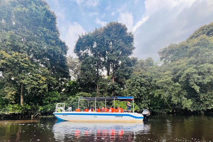 Borneo (Klias) River Cruise & Fireflies Tour