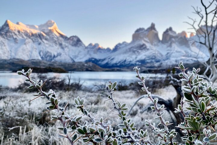 Private full day experience in Torres del Paine