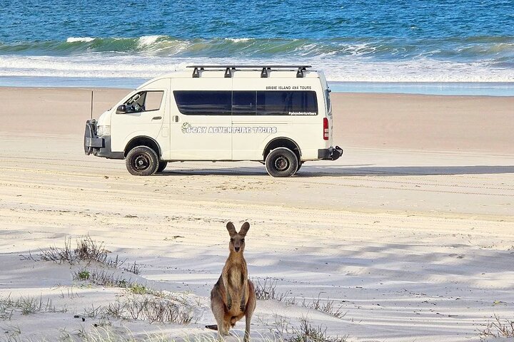 Bribie Island 4WD Kayak and WWII Bunker Tour