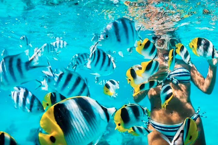 Cartagena 5 Island Hop Tour: Lunch, Snorkel, Beach Clubs, & More