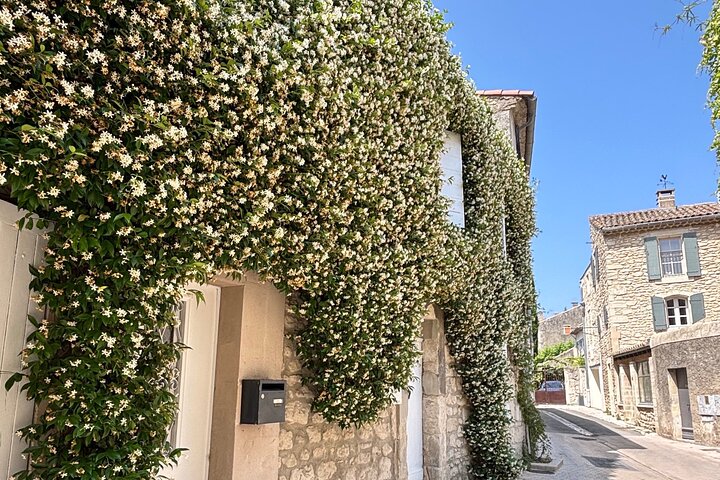 Private tour in Provence , Marseille Cassis Aix en Provence