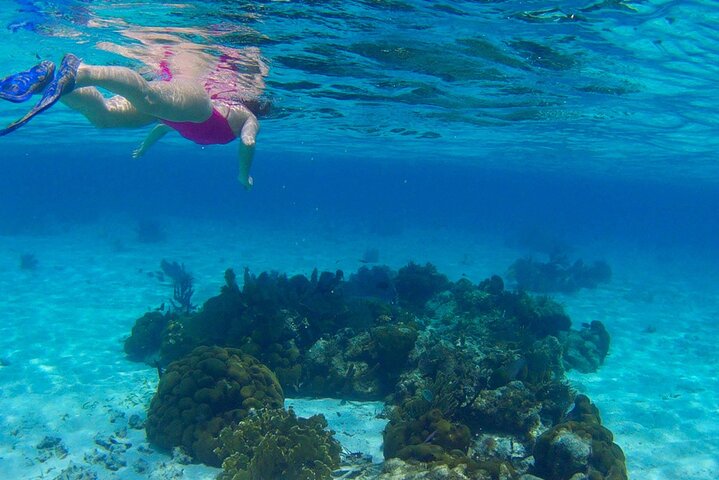 Barrier Reef Snorkeling from Hopkins Village