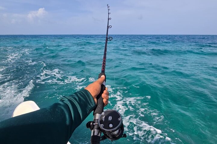 Reef Fishing Tour Trolling and Drop Fishing Trip from Hopkins