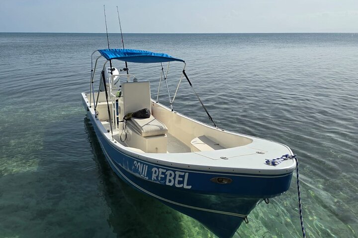 Reef Fishing Tour Trolling and Drop Fishing Trip from Hopkins