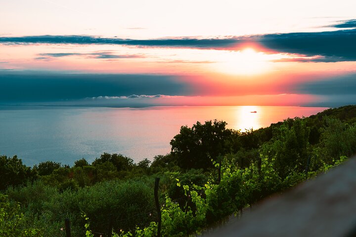 Prosecco Origins Wine Experience