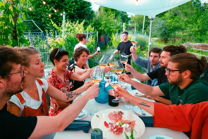 Prosecco Origins Wine Experience