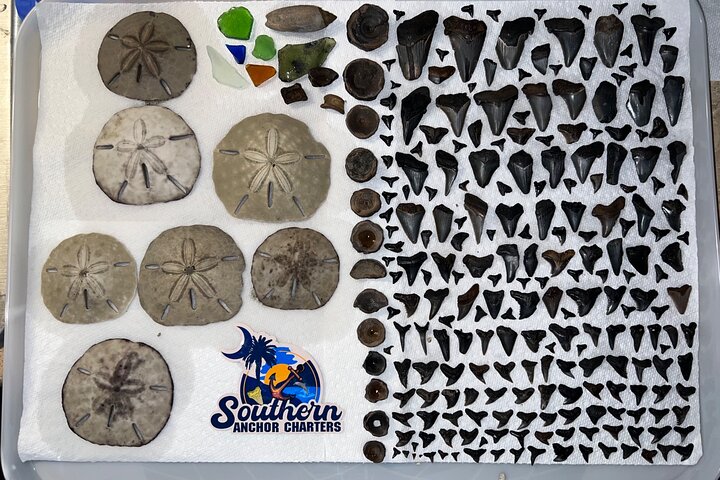 Charleston/Folly Beach Shark Tooth and fossil Island Drop off