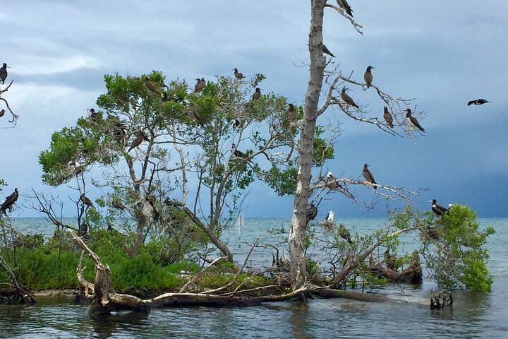 Island Hopping Tour from Hopkins Belize