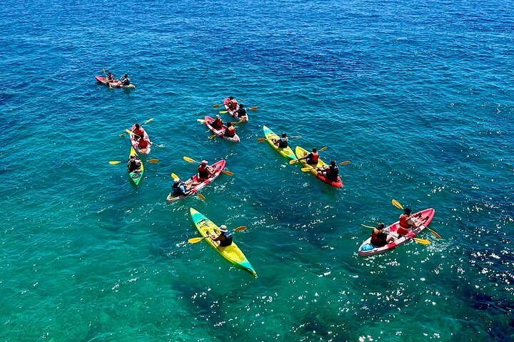 Guided kayak excursion in creeks