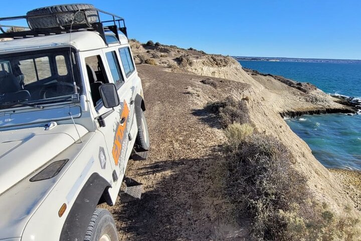 3 hour 4x4 tour around Puerto Madryn