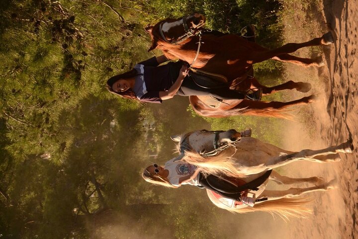 Horse Riding in Manavgat Side Forest and Beach
