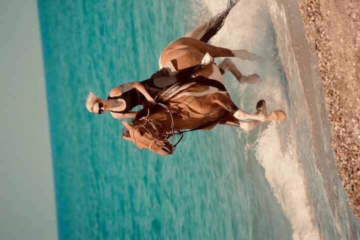 Horse Riding in Manavgat Side Forest and Beach