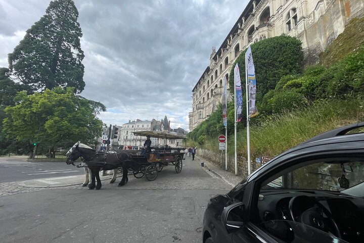 Day Trip to Loire Castles – Private & Customizable from Paris
