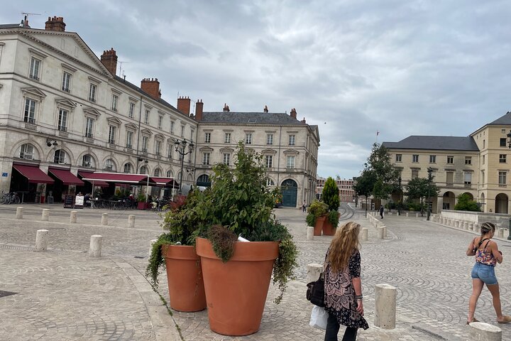 Day Trip to Loire Castles – Private & Customizable from Paris