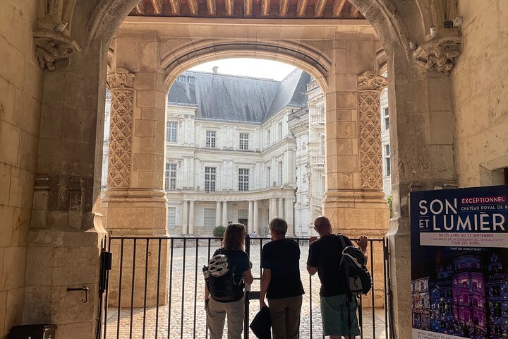 Day Trip to Loire Castles – Private & Customizable from Paris