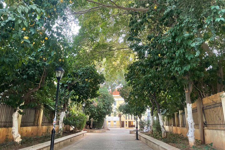 Tel Aviv: Highlights of Central Tel Aviv Walking Tour