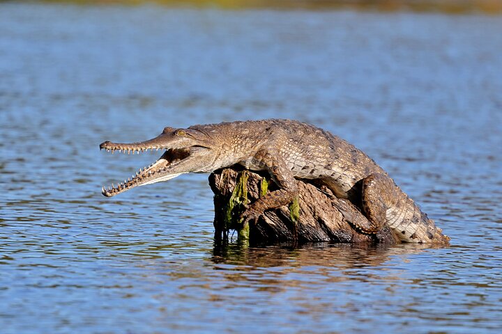 Ord River Eco Boat Cruise (minimum 2 passengers)