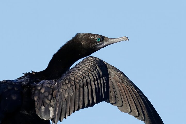 Ord River Eco Boat Cruise (minimum 2 passengers)