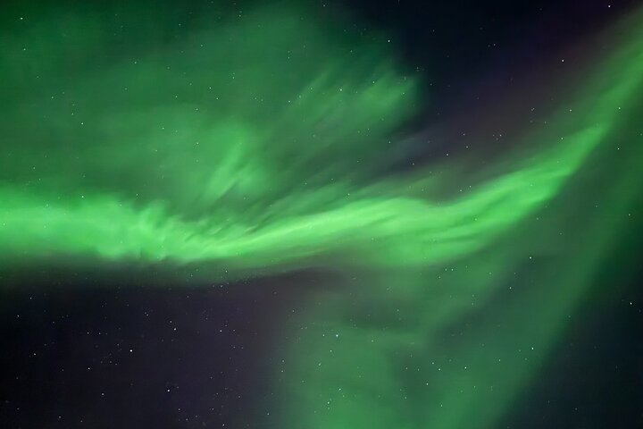 Aurora Hunting Tour in Yellowknife — Shared Bus