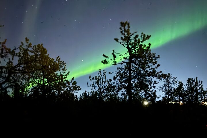 Aurora Hunting Tour in Yellowknife — Shared Bus