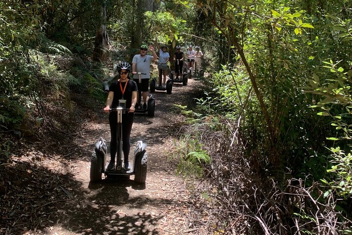 Launceston: Hollybank Treetops Adventures - Segway Tour