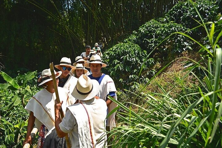 2-Day Tour at the Salento Cocora Thermal Coffee Shop