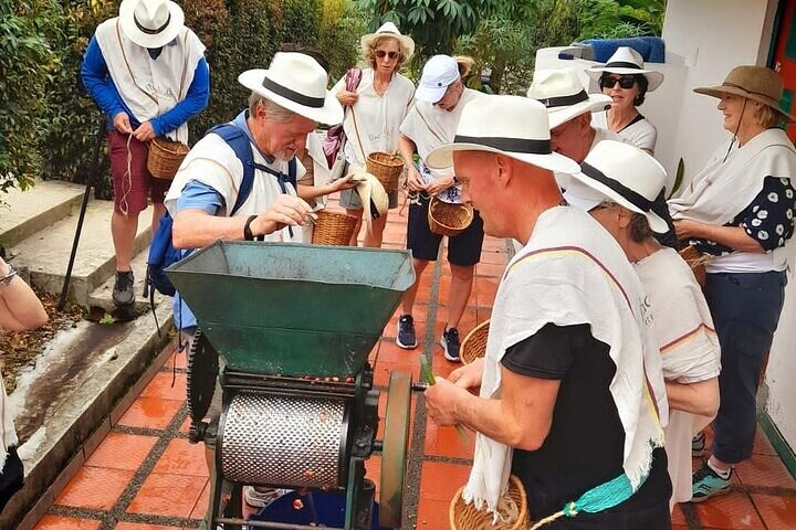2-Day Tour at the Salento Cocora Thermal Coffee Shop