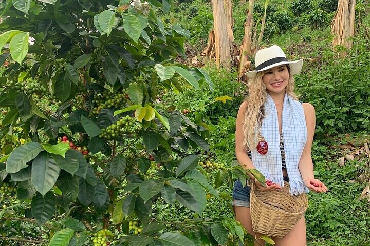 2-Day Tour at the Salento Cocora Thermal Coffee Shop