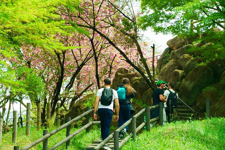 Matsumoto Everything Tour: Castle, Miso, Wasabi, Wine & Ukiyo-e