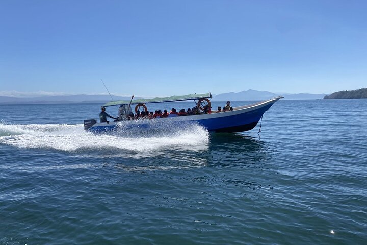 Snorkeling! & Cahuita national park Small Group Tour