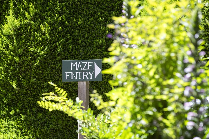 Ashcombe Maze & Lavender Gardens