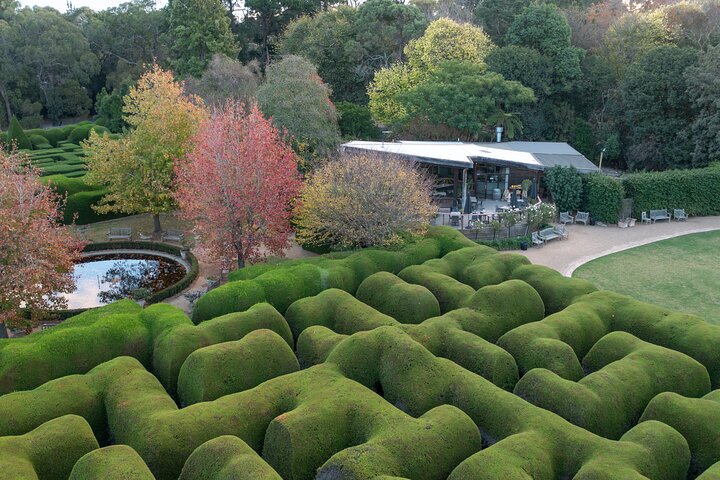 Ashcombe Maze & Lavender Gardens