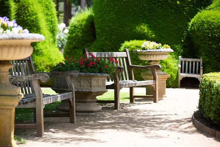 Ashcombe Maze & Lavender Gardens
