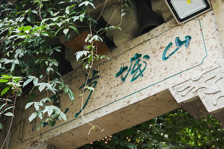 Chongqing 10 Hour Private Customized City Car Tour