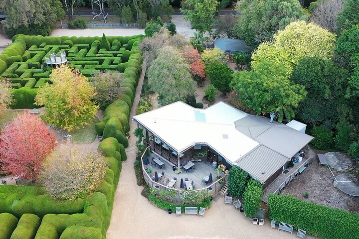 Ashcombe Maze & Lavender Gardens