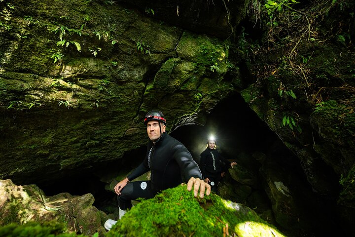 Okohua Glowworm Cave Tour