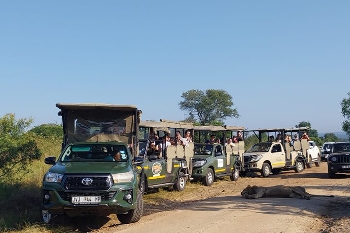 Kruger National Park Morning Safari Experience (Minimum 2 Peope)