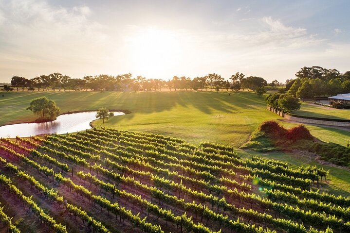 Swan Valley River Cruise and Wine Tasting Day Trip from Perth