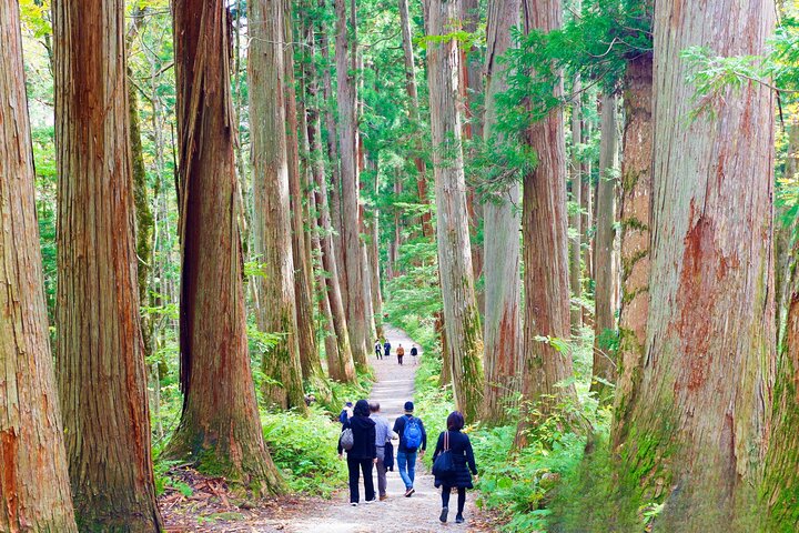 Togakushi: A Serene Walk Through Sacred Forests & Soba Traditions
