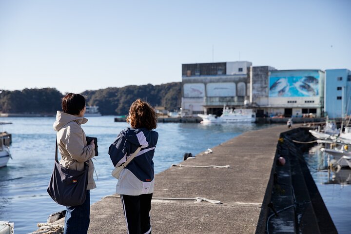 Kii-Katsuura Private Tour | Hidden Stories, Local Flavors & Life