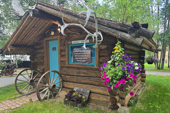 Midnight Sun Magic Chena Hot Springs Soak and Ice Museum Tour