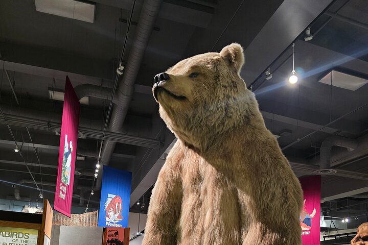 Fairbanks Top City Highlights Tour Summer/Fall